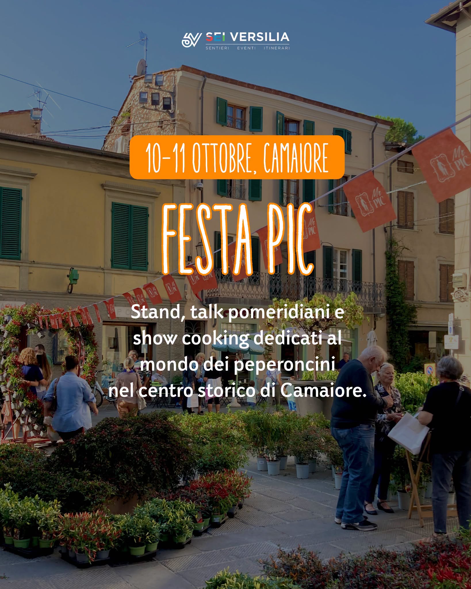 Poster for Festa Pic